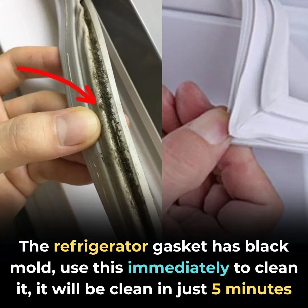 The refrigerator gasket has black mold, use this immediately to clean it, it will be clean in just 5 minutes