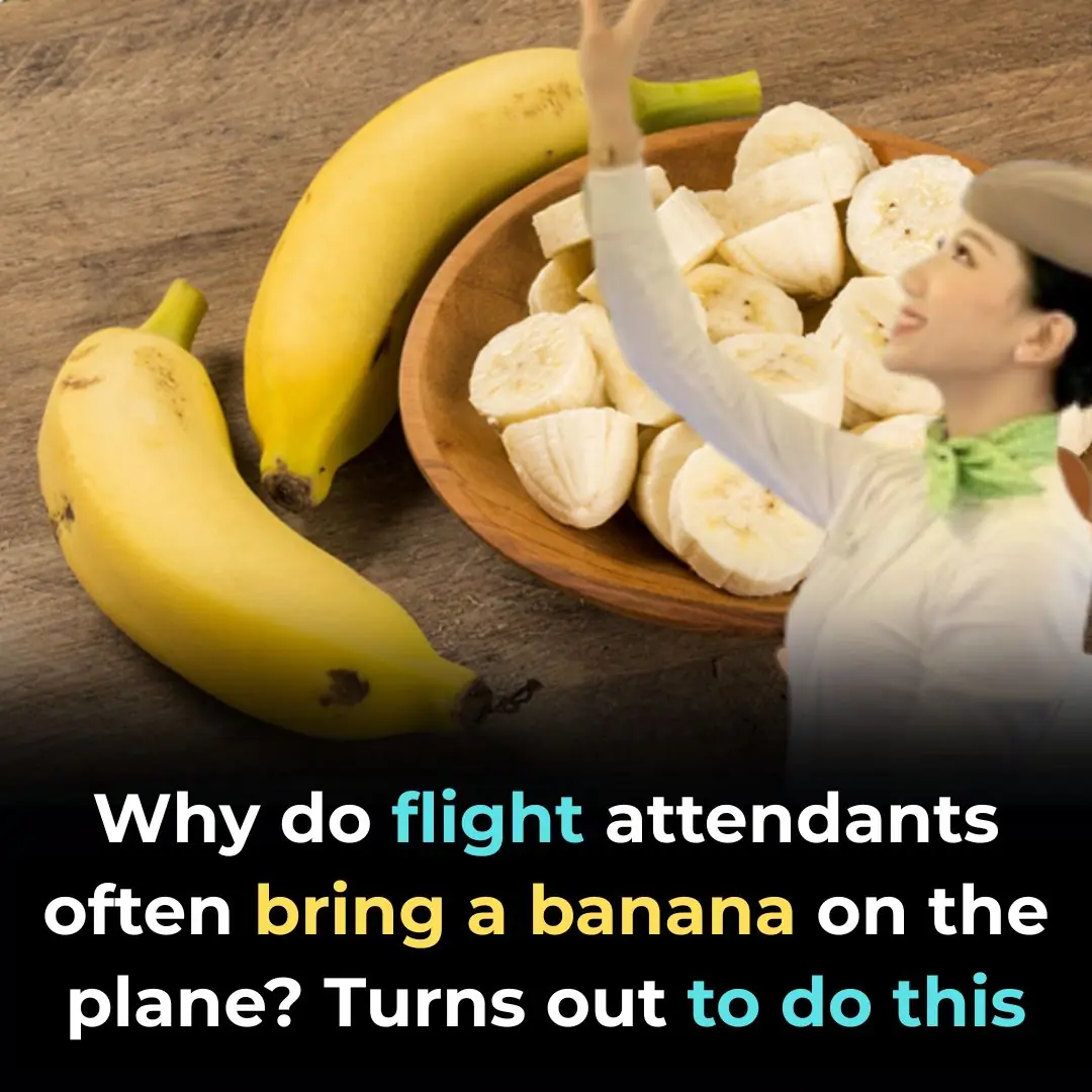 Why Do Flight Attendants Often Carry a Banana on the Plane? It Turns Out It's for This Purpose