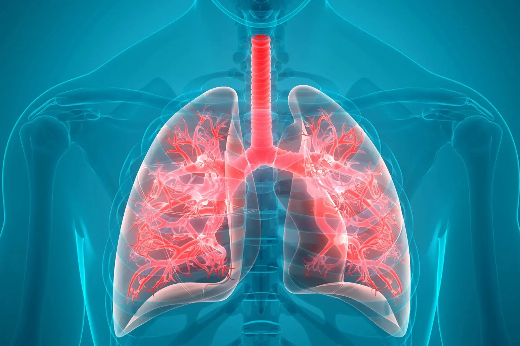 Clean Your Lungs and Stop Coughing in 3 Days! The Garlic Remedy for Bronchitis You Need to Try
