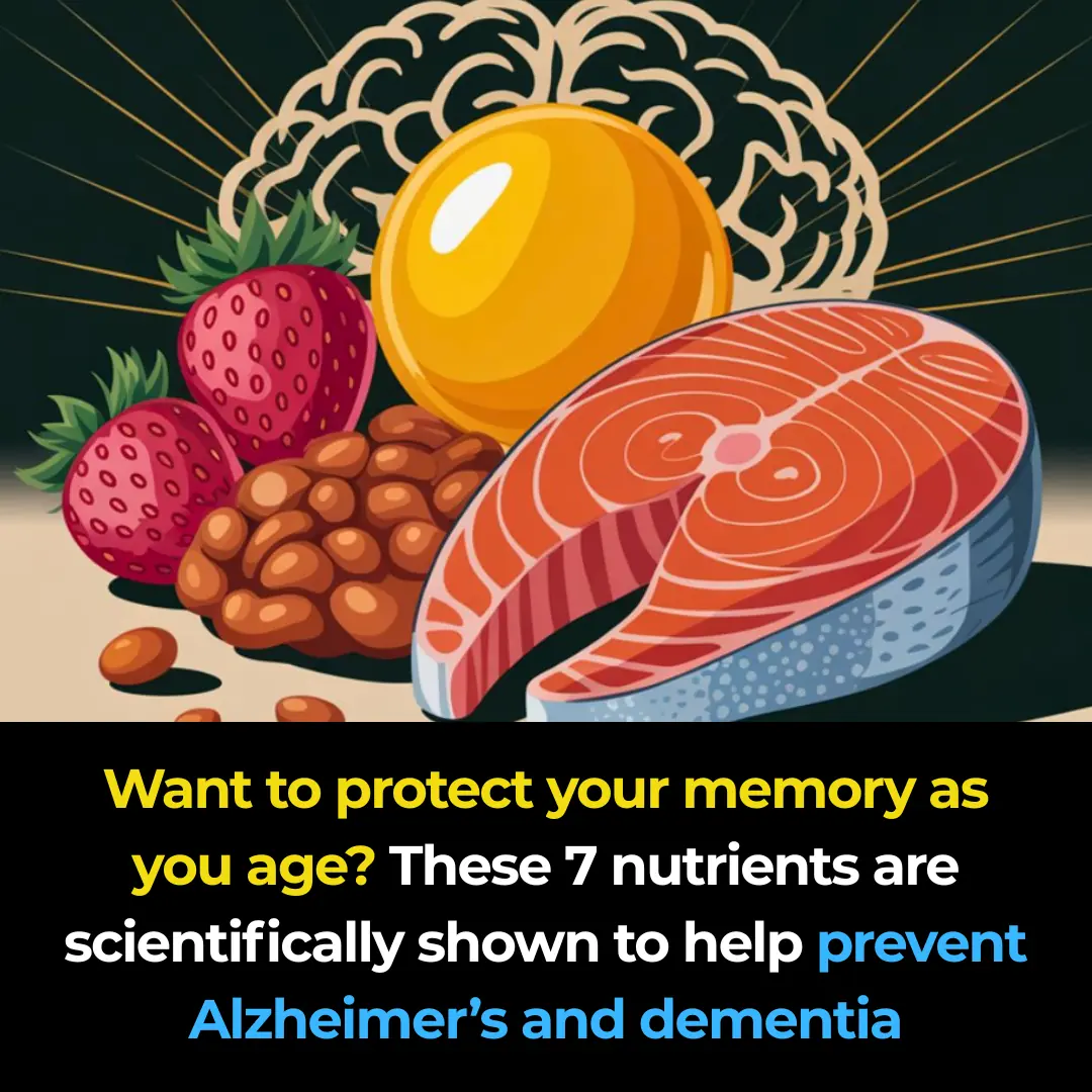 7 Best Nutrients to Prevent Alzheimer’s and Dementia