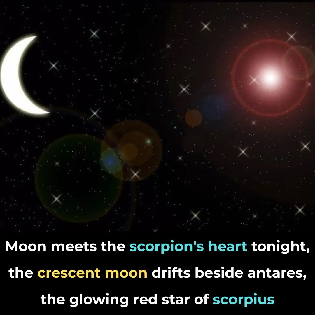 September 27 Sky Crescent Moon Meets Antares In Stunning Display
