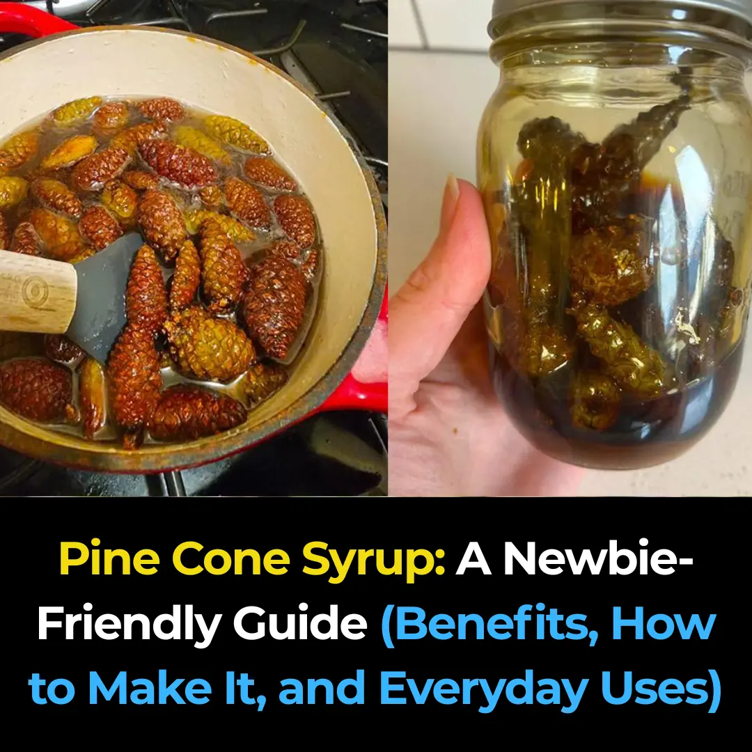 Pine Cone Syrup: A Newbie-Friendly Guide (Benefits, How to Make It, and Everyday Uses)