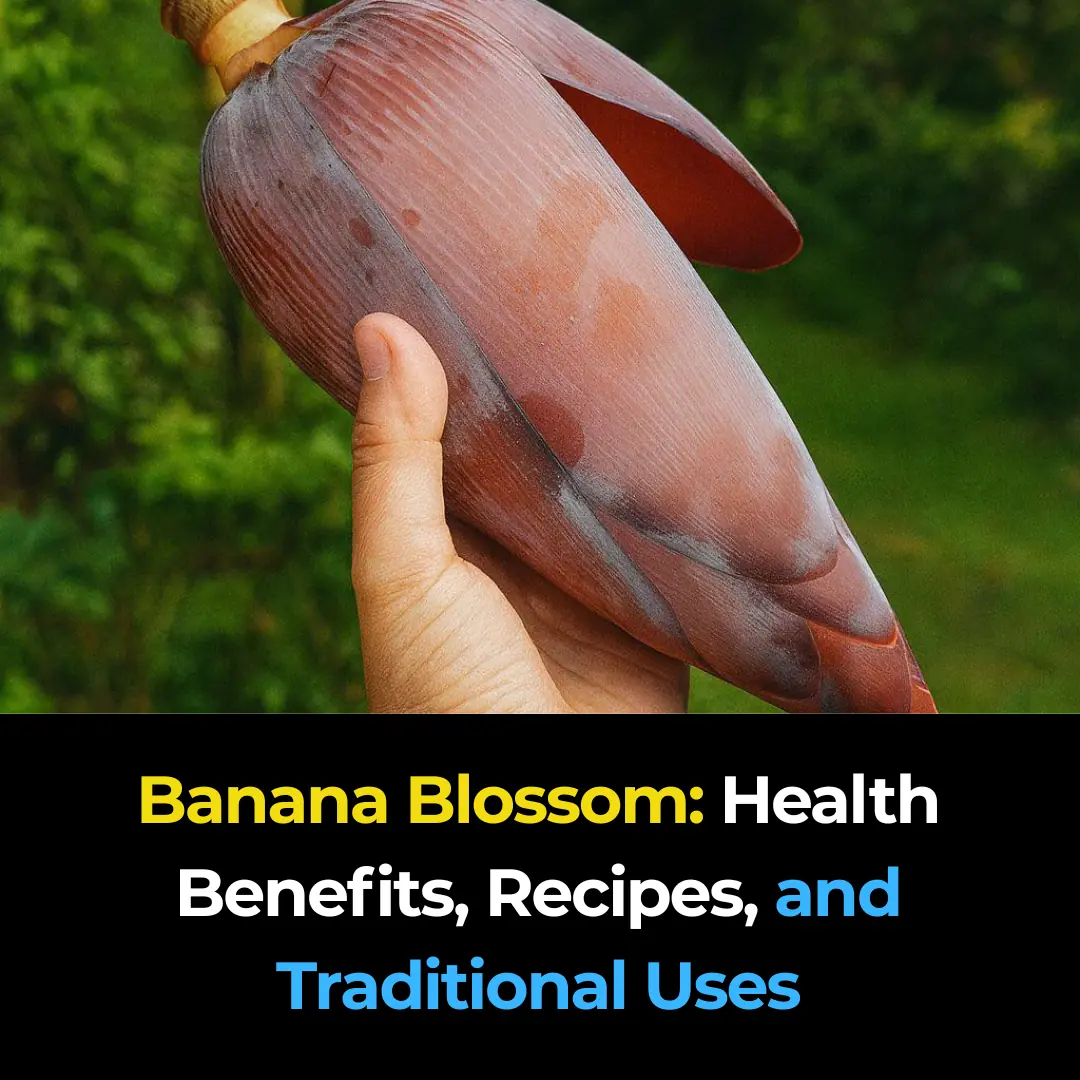 Banana Blossom: Health Benefits, Recipes, and Traditional Uses