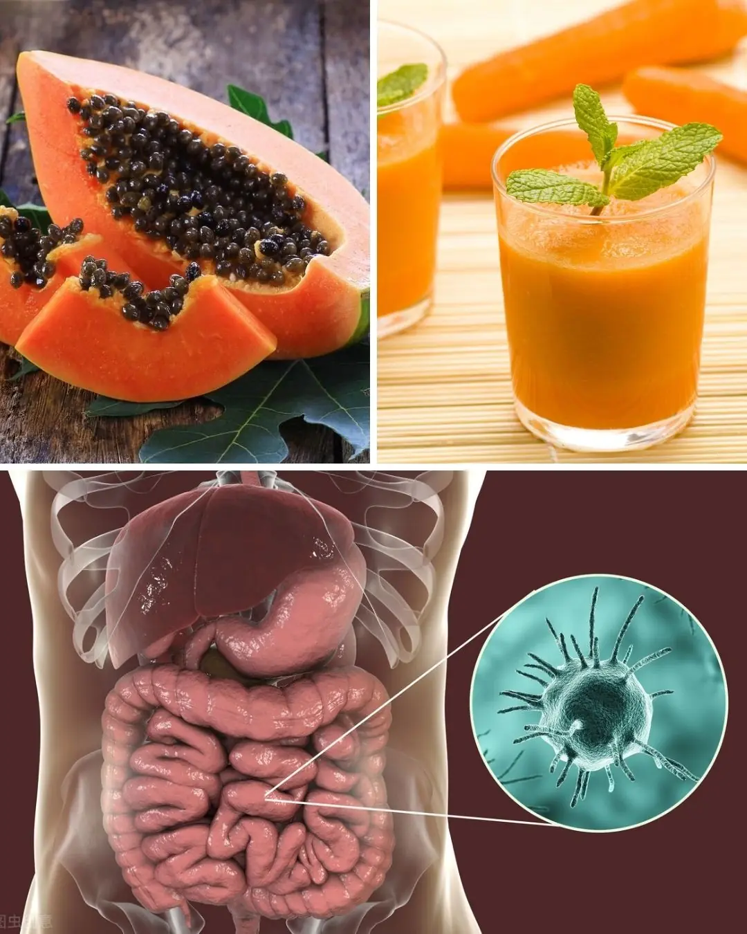 Papaya Seeds for Gut Health: The Simple Secret Inside Your Fruit