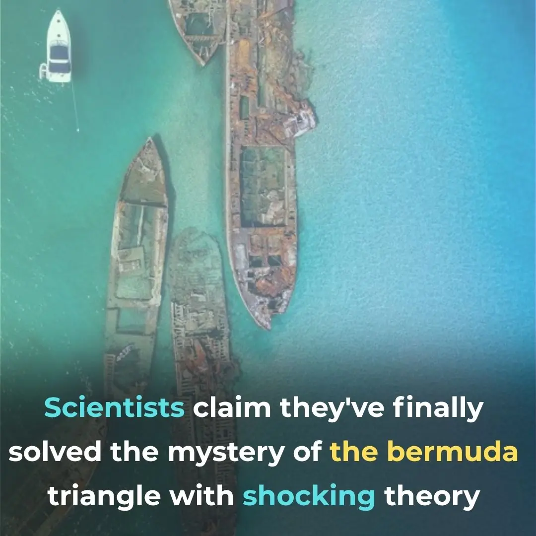 The Truth Behind the Bermuda Triangle May Be Scarier Than UFOs