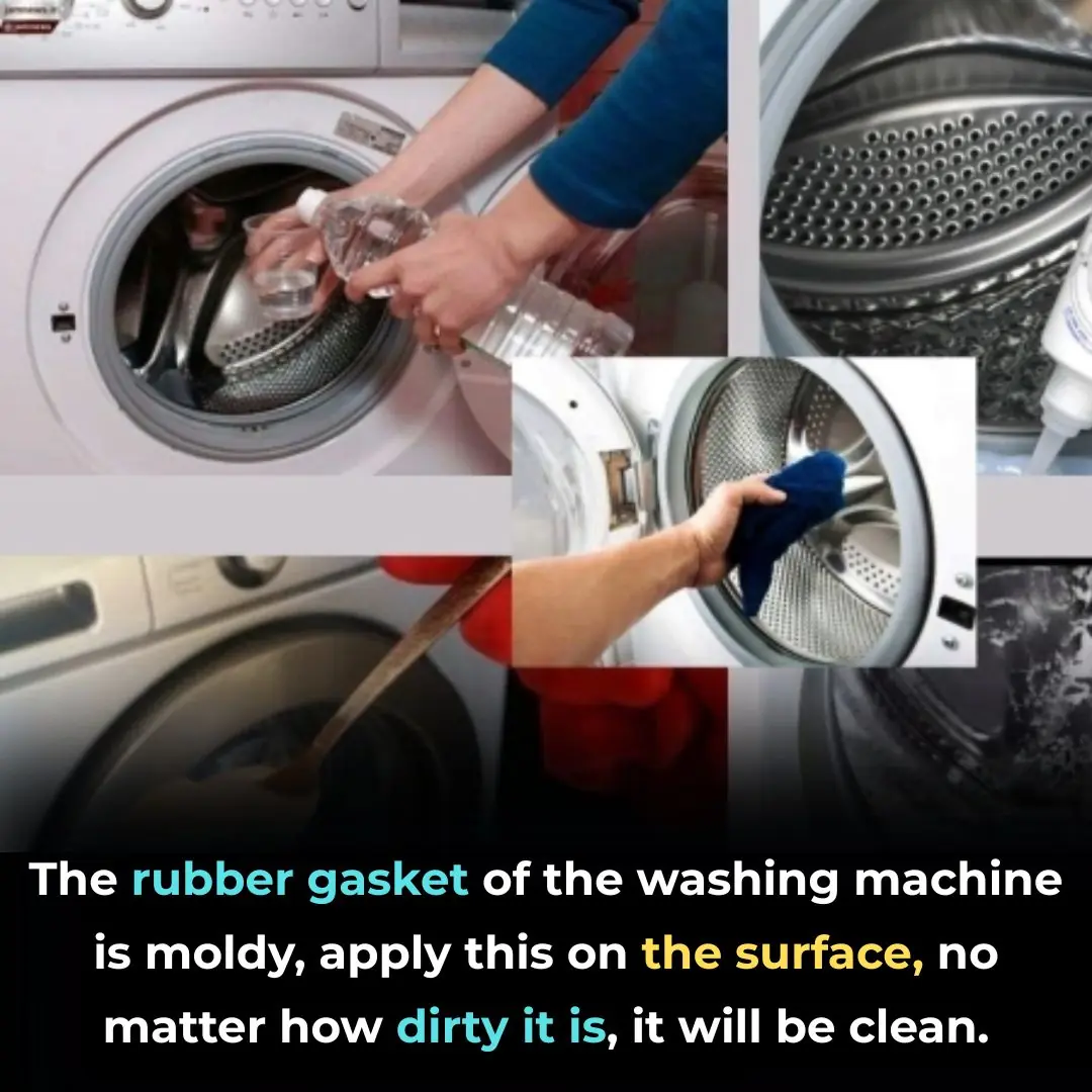 The rubber gasket of the washing machine is moldy, apply this on the surface, no matter how dirty it is, it will be clean.