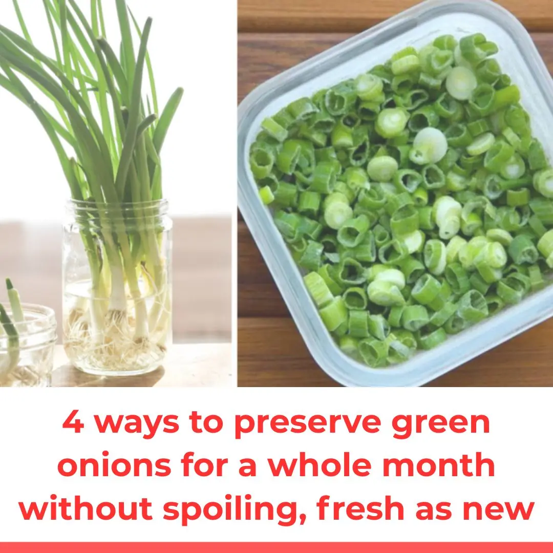 4 ways to preserve green onions for a whole month without spoiling, fresh as new