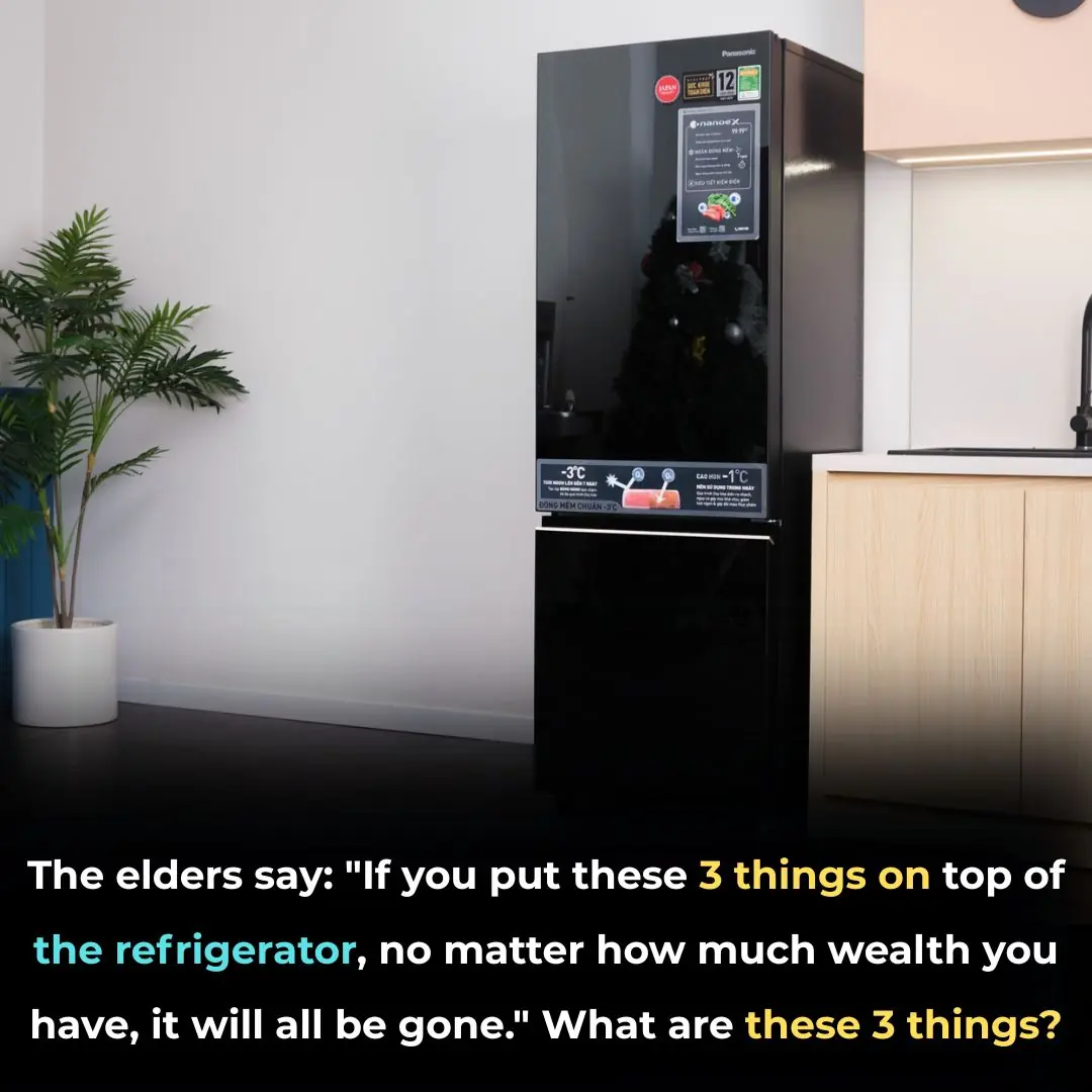 The elders say: "If you put these 3 things on top of the refrigerator, no matter how much wealth you have, it will all be gone." What are these 3 things?