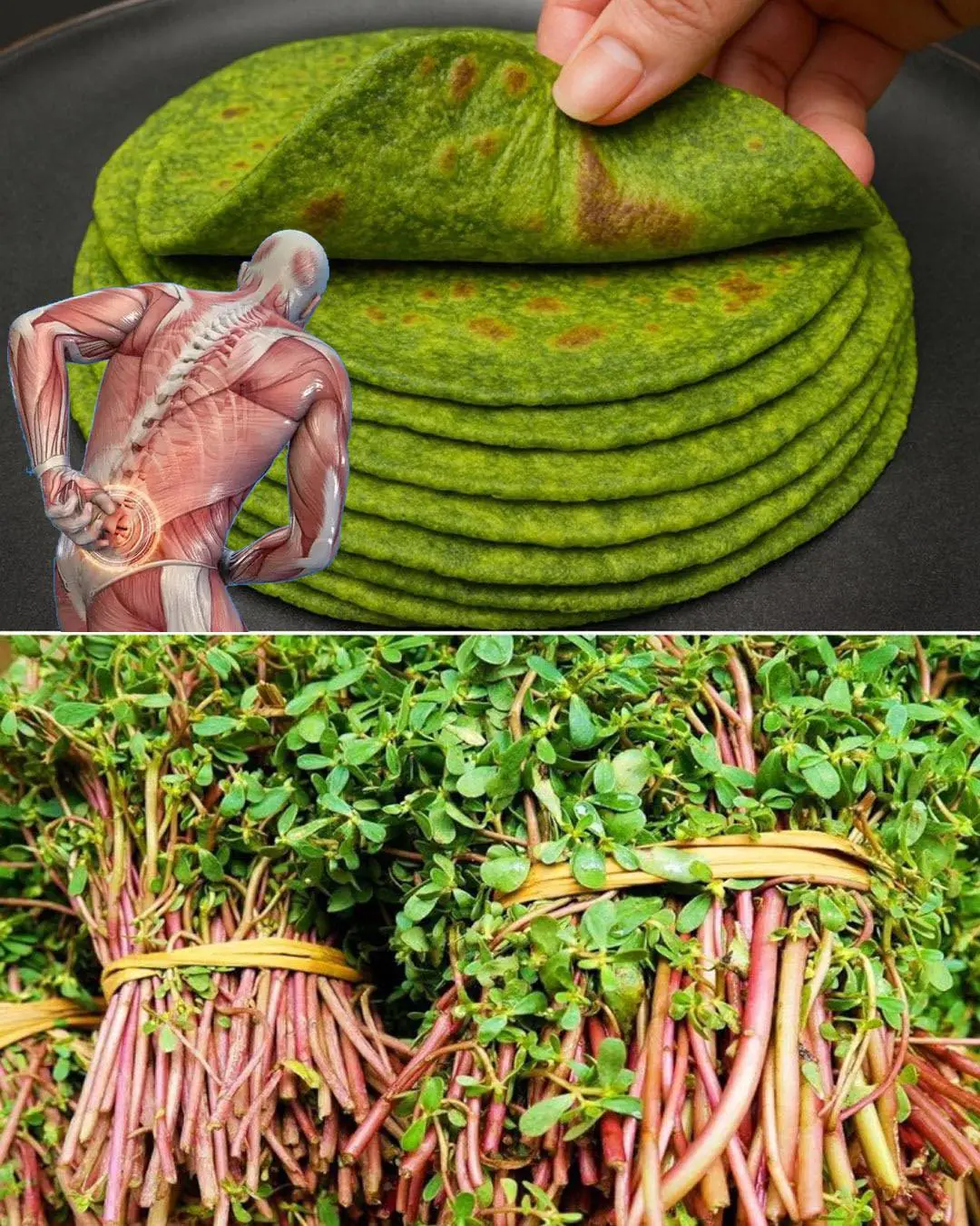 10 Benefits and uses of purslane