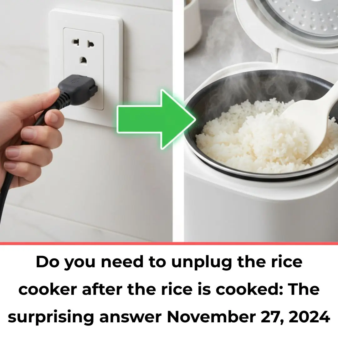 Do you need to unplug the rice cooker after the rice is cooked: The surprising answer November 27, 2024
