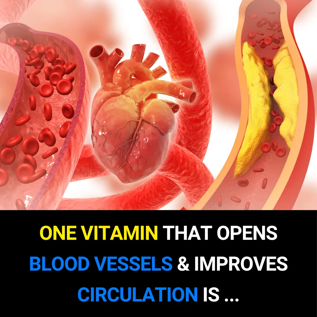 One Vitamin That Could Transform Your Circulation: Niacin (Vitamin B3)