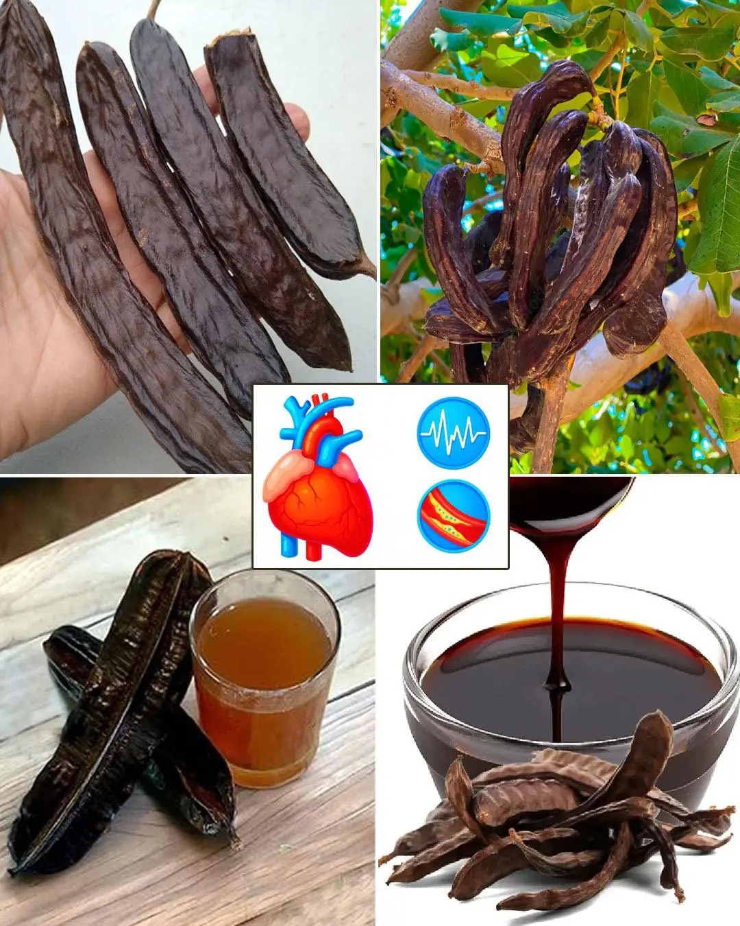 The Remarkable Benefits of Aridan (Tetrapleura tetraptera)