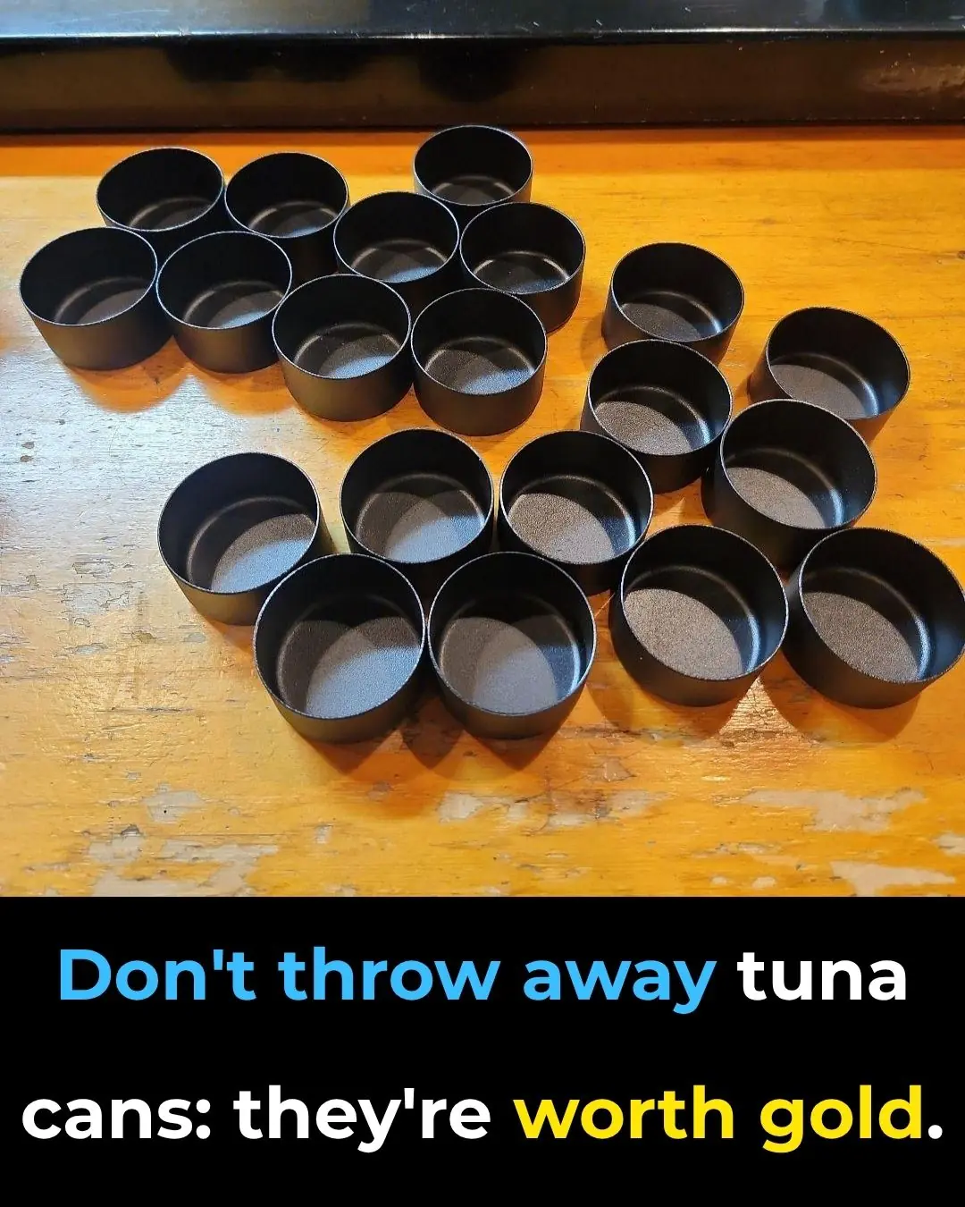 Don't throw away tuna cans: they're worth their weight in gold if you reuse them this way!