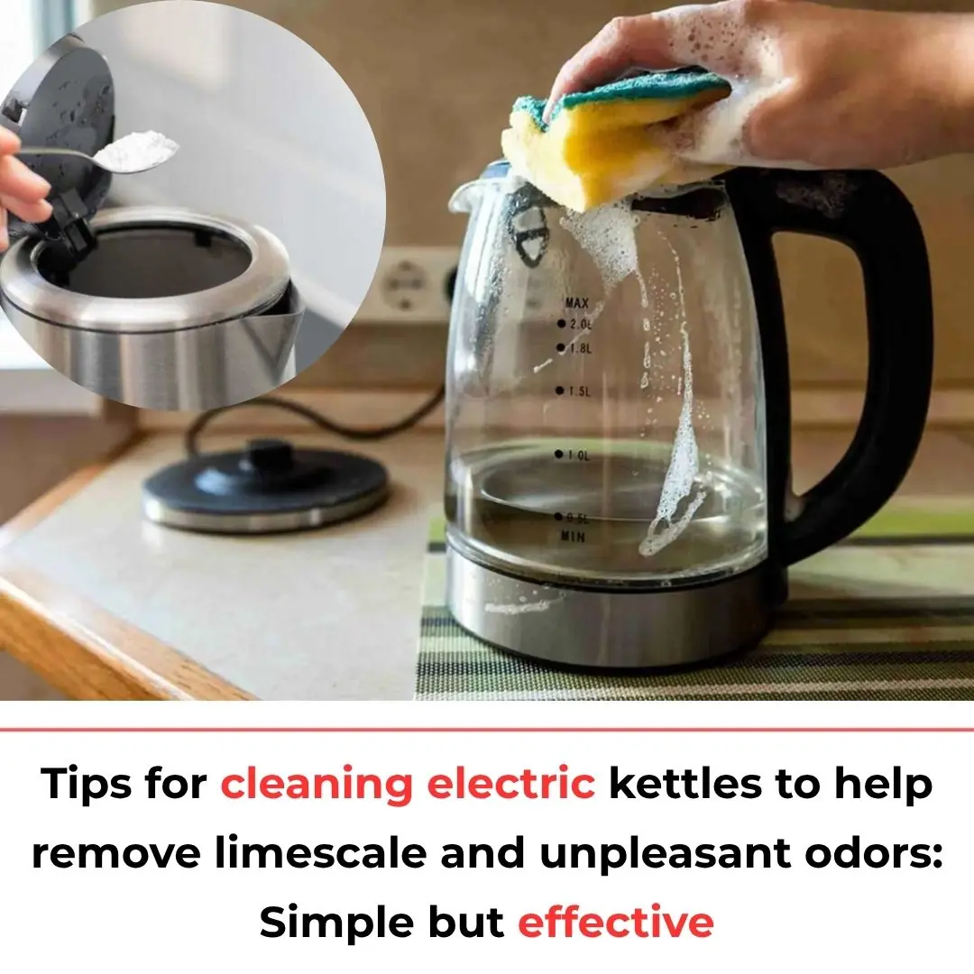 Tips for cleaning electric kettles to help remove limescale and unpleasant odors: Simple but effective