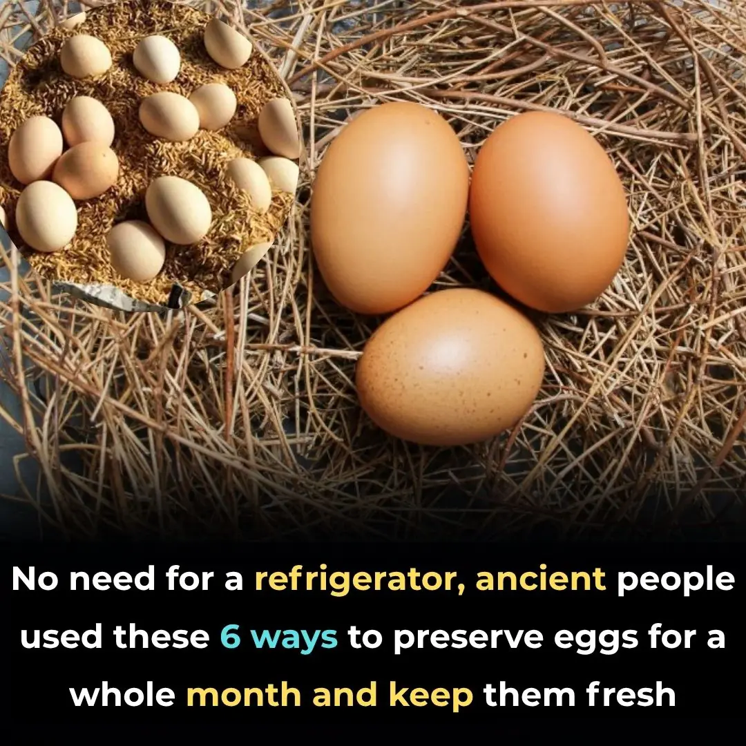 No need for a refrigerator, ancient people used these 6 ways to preserve eggs for a whole month and keep them fresh