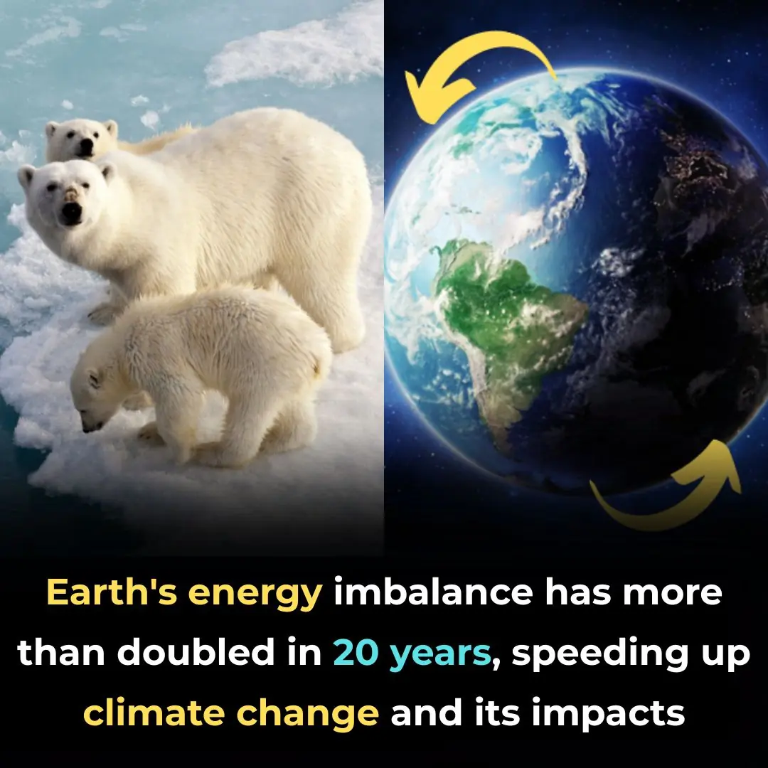 Earth’s Energy Imbalance Doubles Speeding Up Climate Change