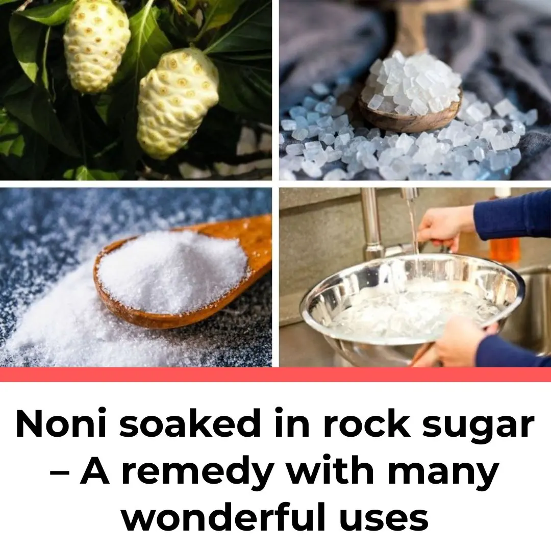 Noni soaked in rock sugar – A remedy with many wonderful uses