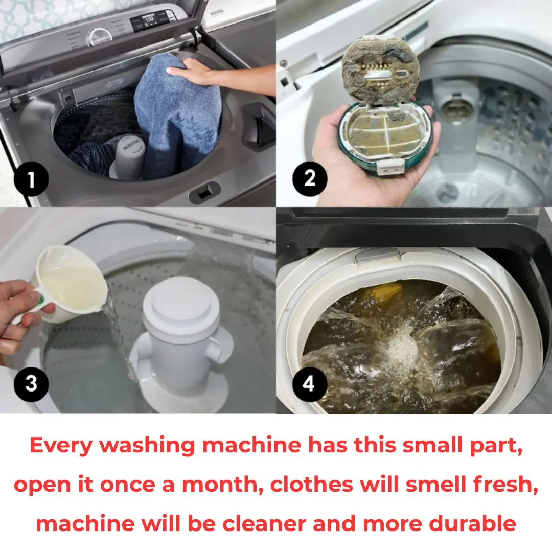Every washing machine has this small part, open it once a month, clothes will smell fresh, machine will be cleaner and more durable