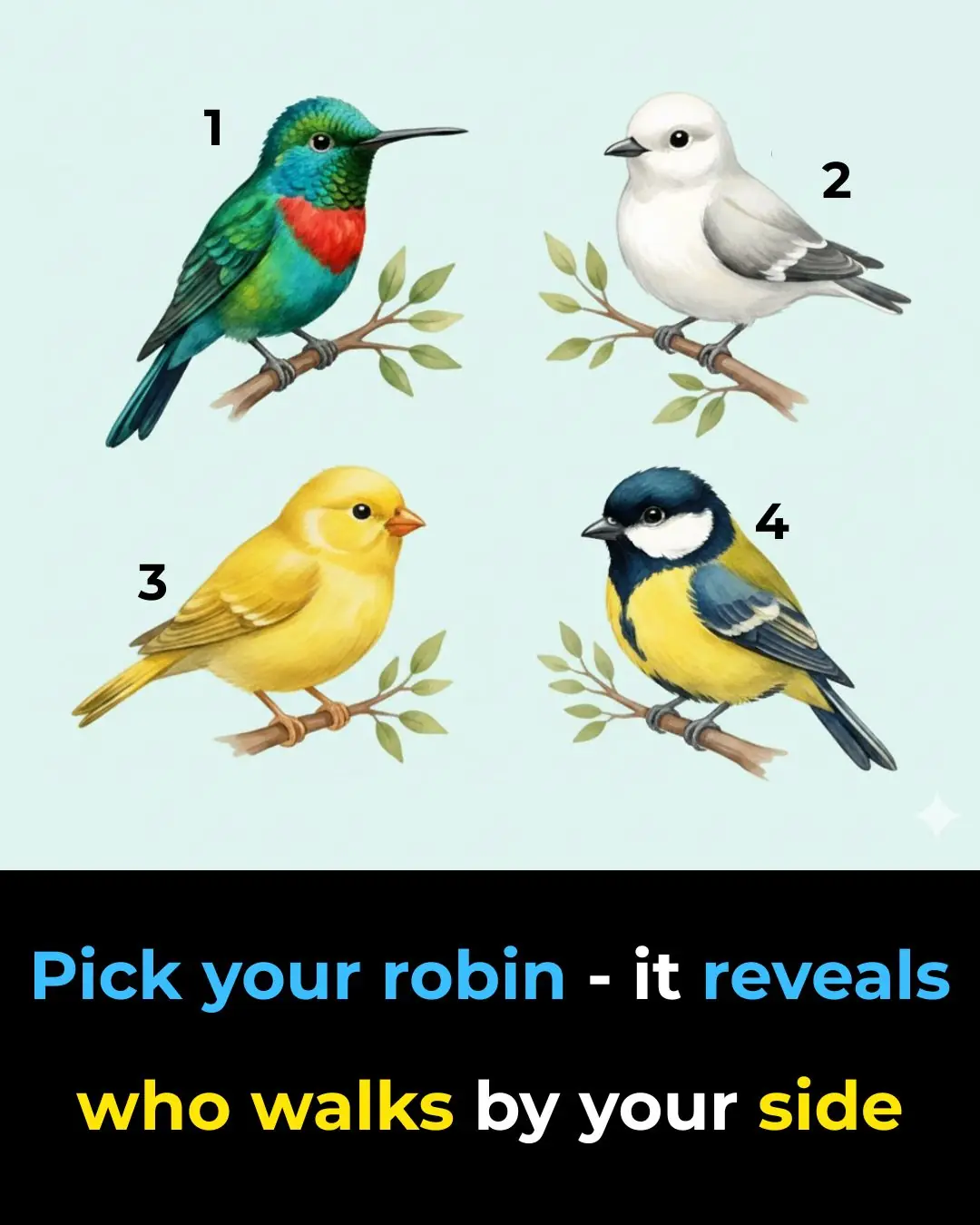 Pick Your Robin