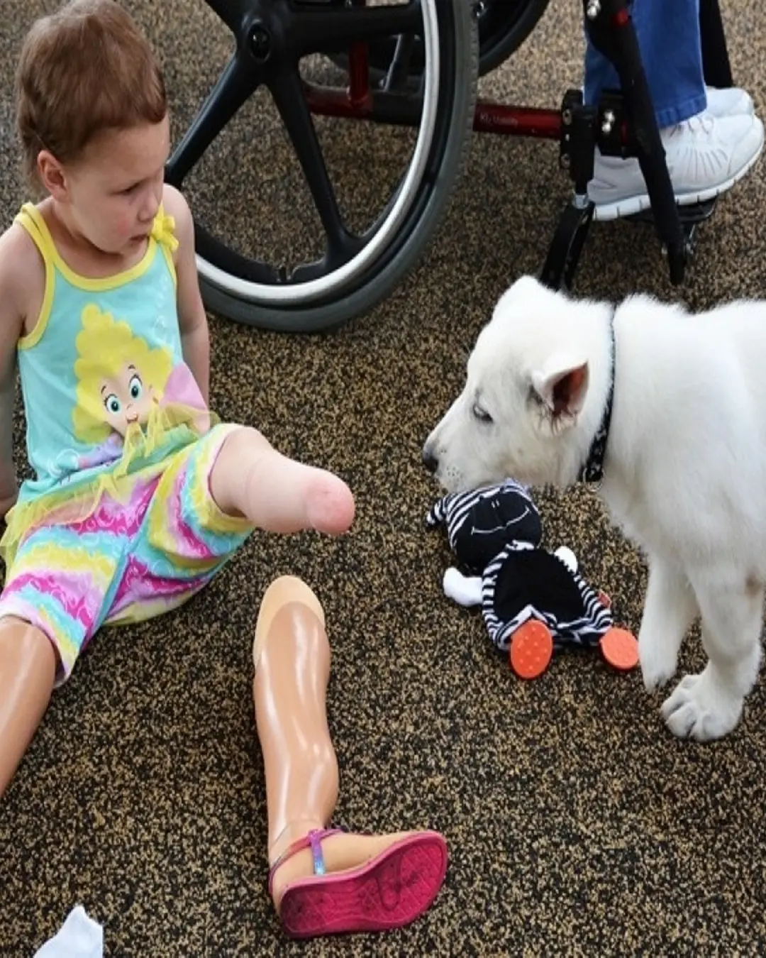 A Match Made in Dog Heaven: A Toddler and Her Puppy Who Share a Special Bond