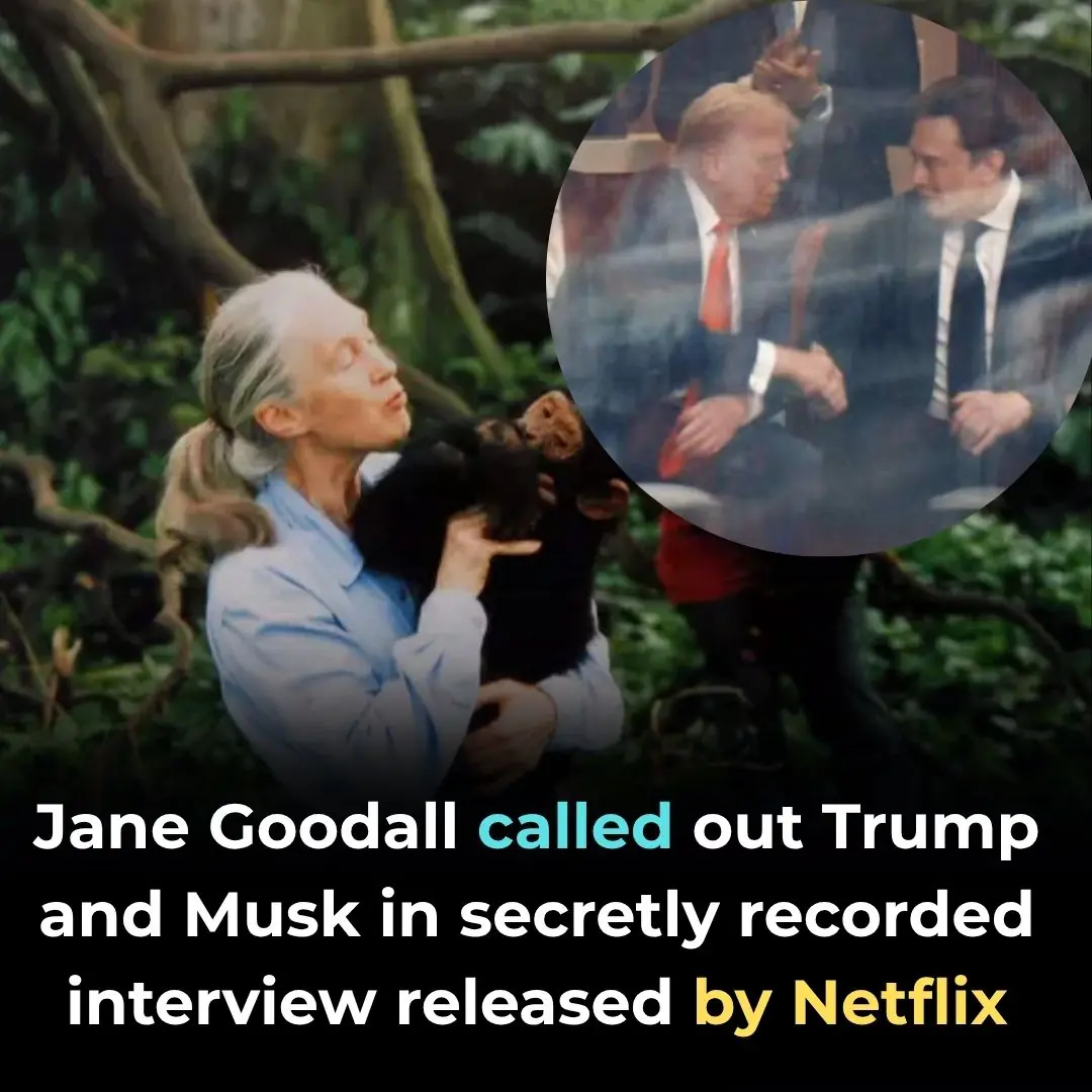 Jane Goodall called out Trump and Musk in secretly recorded interview released by Netflix