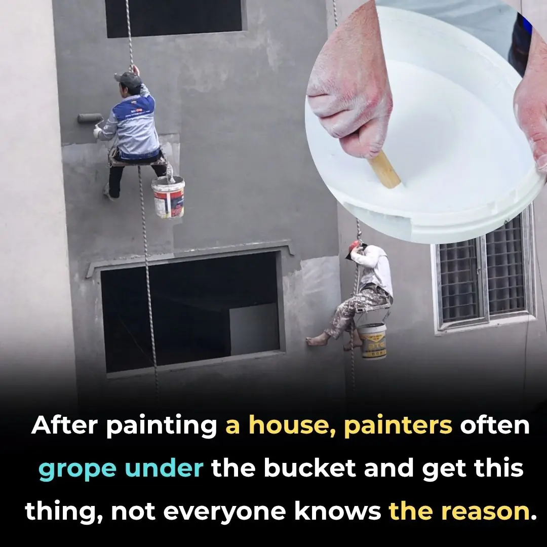 After painting a house, painters often grope under the bucket and get this thing, not everyone knows the reason