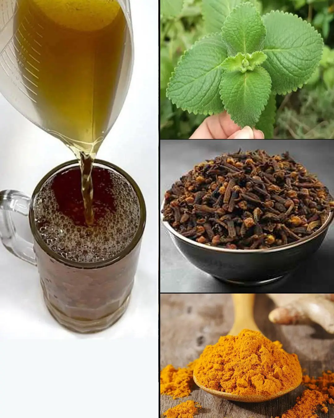 Cuban Oregano, Cloves & Turmeric: The Natural Remedy for Pain, Inflammation, and Immunity Boost