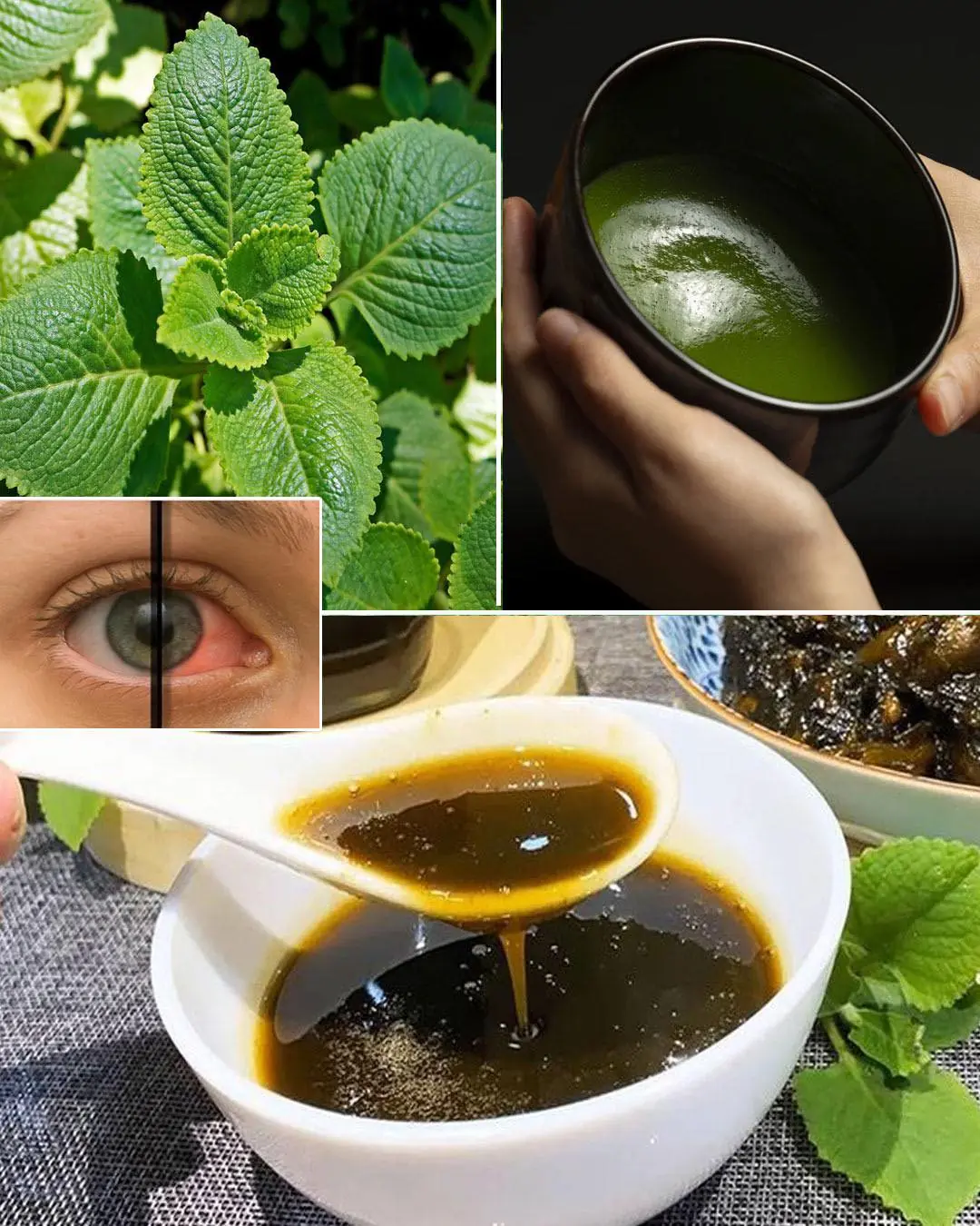 Oregano: The Golden Herb for Eye Health