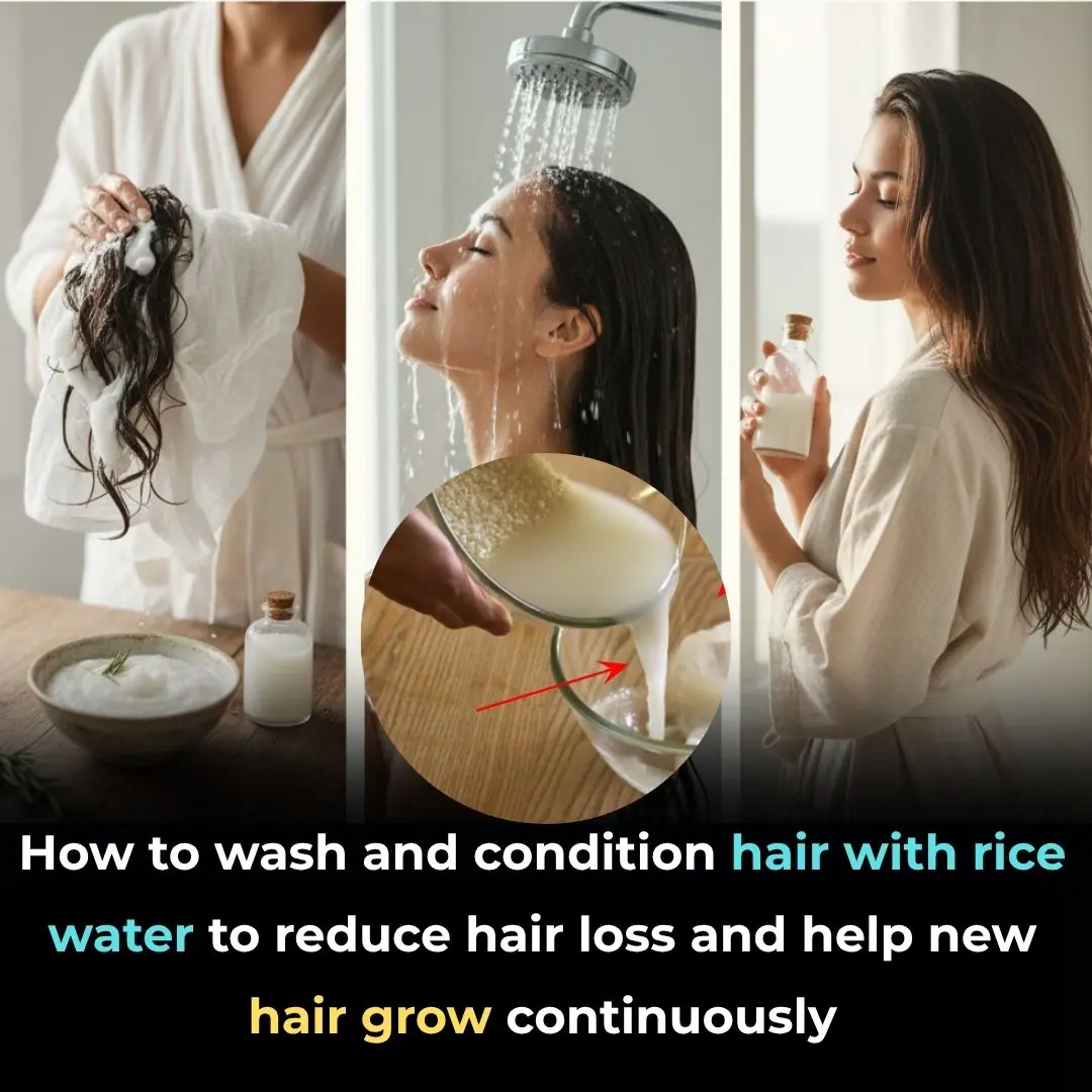 How to wash and condition hair with rice water to reduce hair loss and help new hair grow continuously
