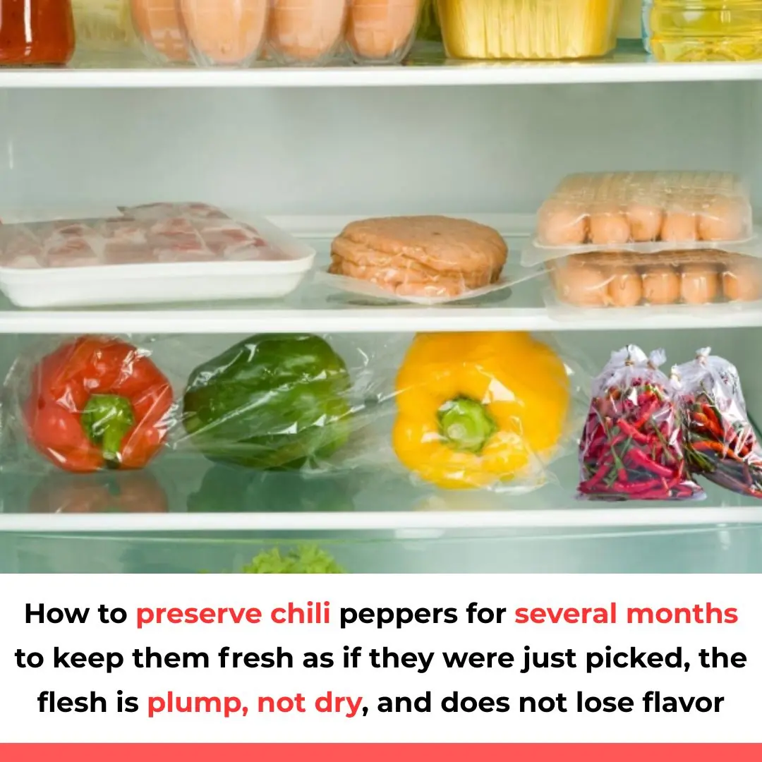How to preserve chili peppers for several months to keep them fresh as if they were just picked, the flesh is plump, not dry, and does not lose flavor