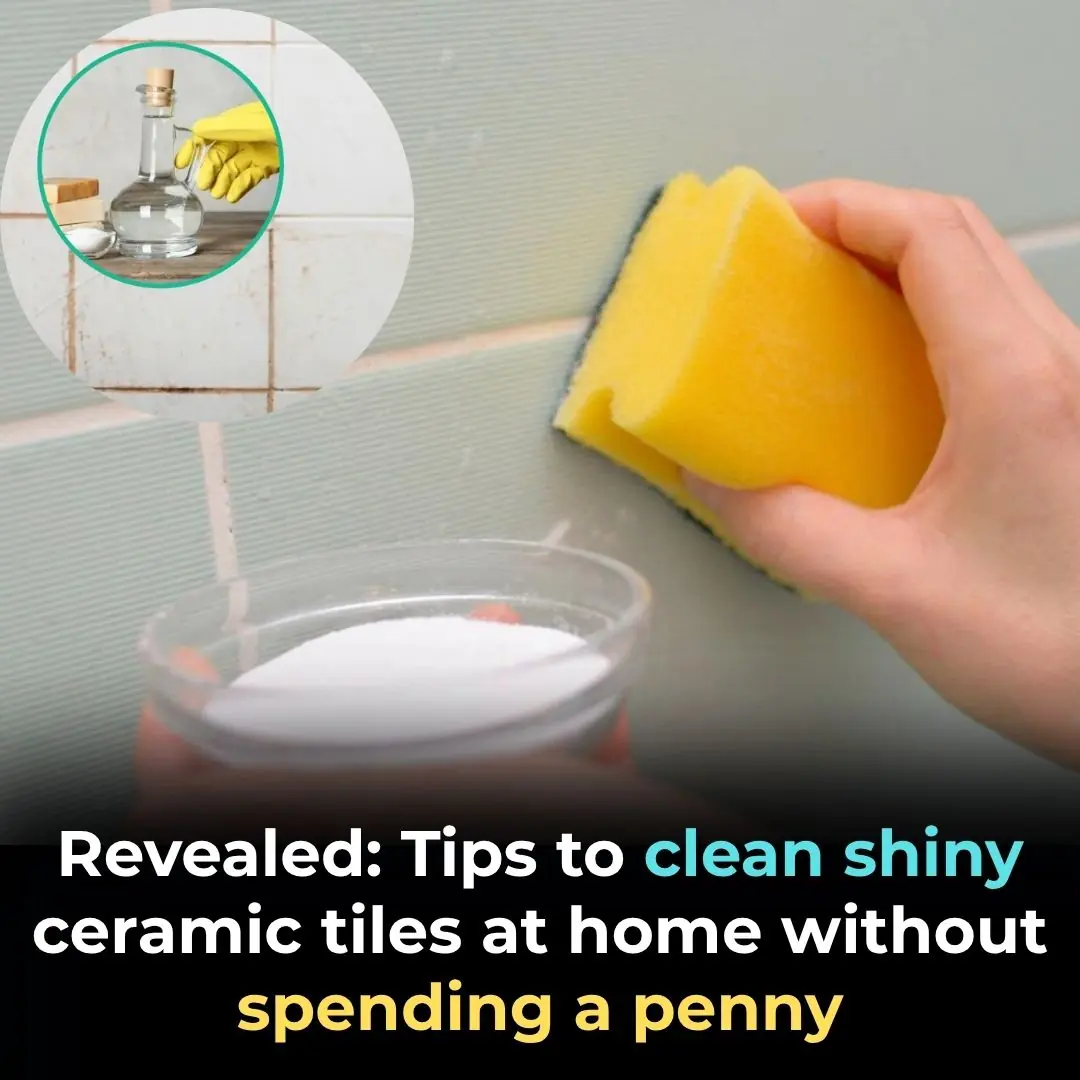 Revealed: Tips to clean shiny ceramic tiles at home without spending a penny