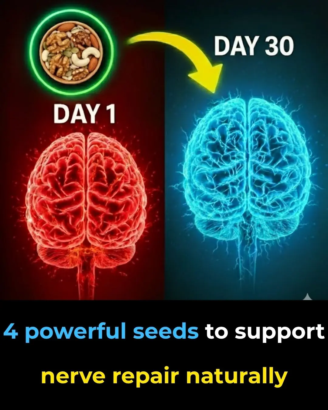 The surprising power of 4 seeds to repair your nerves naturally