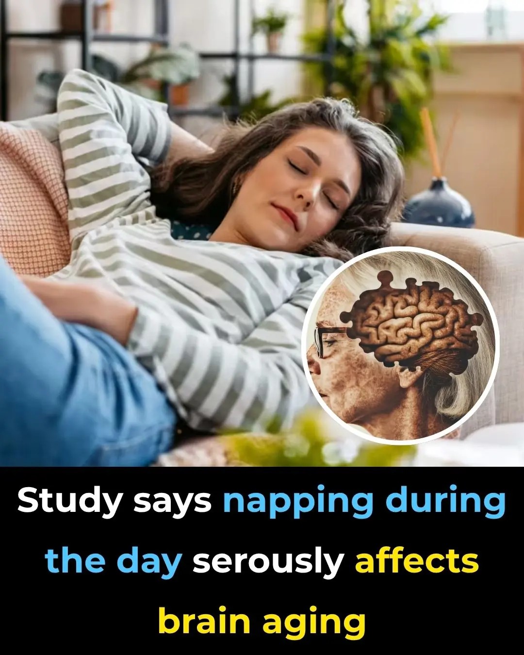 Napping During The Day Seriously Affects Brain Aging