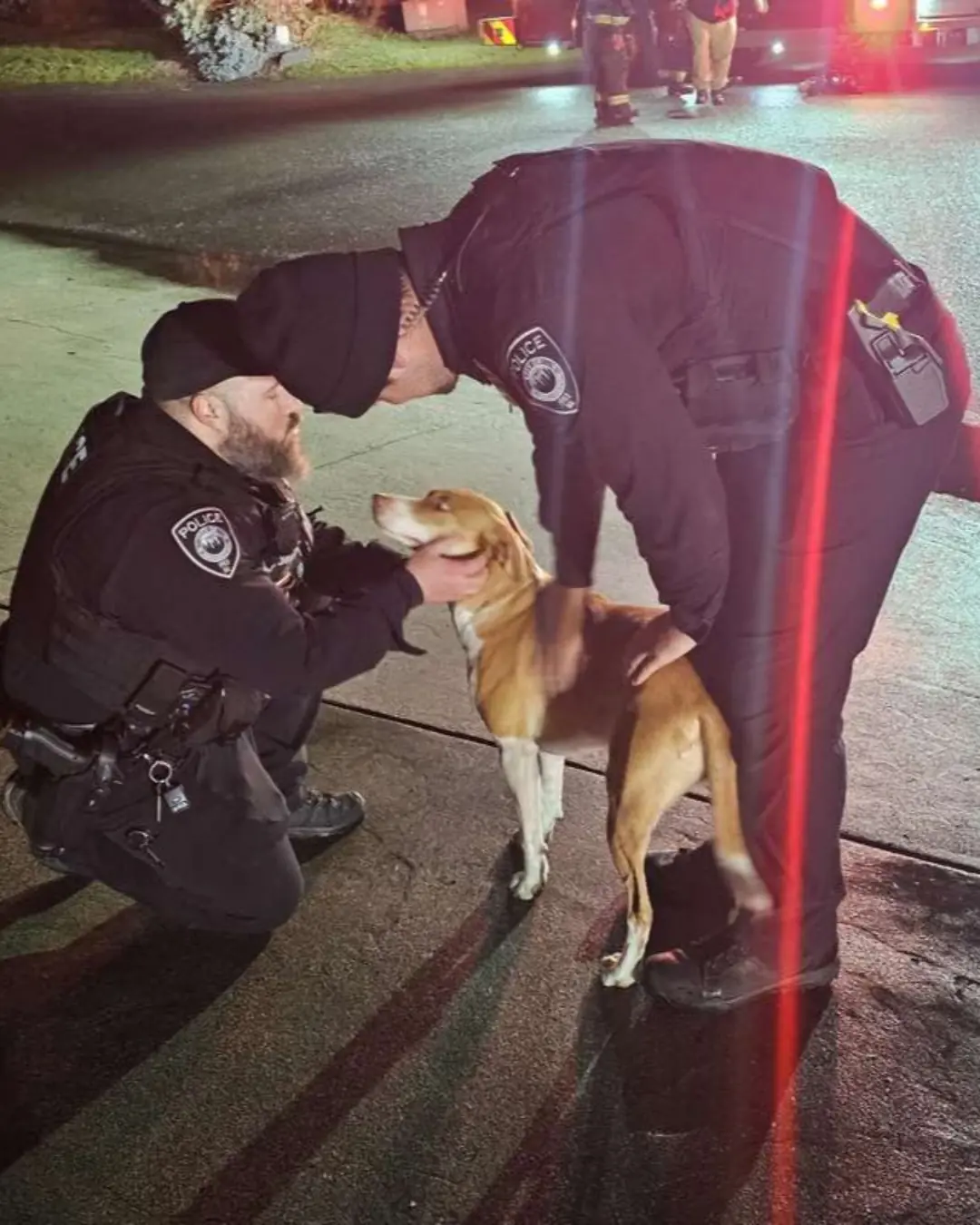 Ten Minutes From Tragedy—A Dog’s Warning Changed Everything!