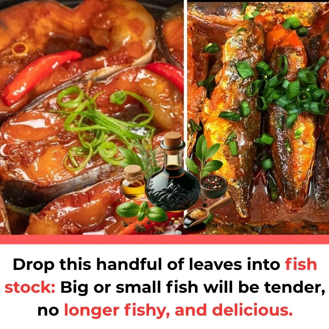 Drop this handful of leaves into fish stock: Big or small fish will be tender, no longer fishy, ​​and delicious.