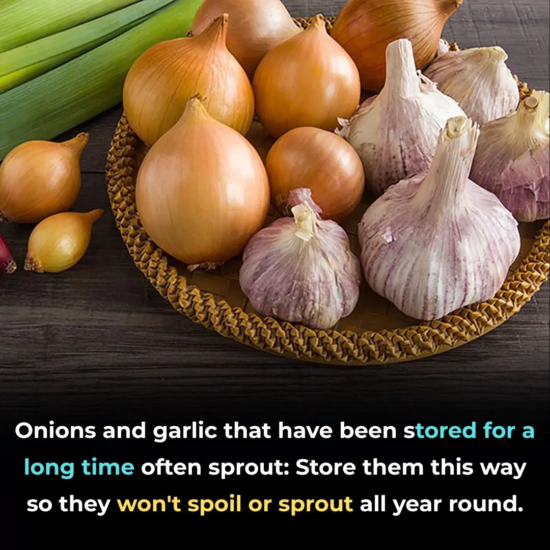 Onions and garlic that have been stored for a long time often sprout: Store them this way so they won't spoil or sprout all year round.