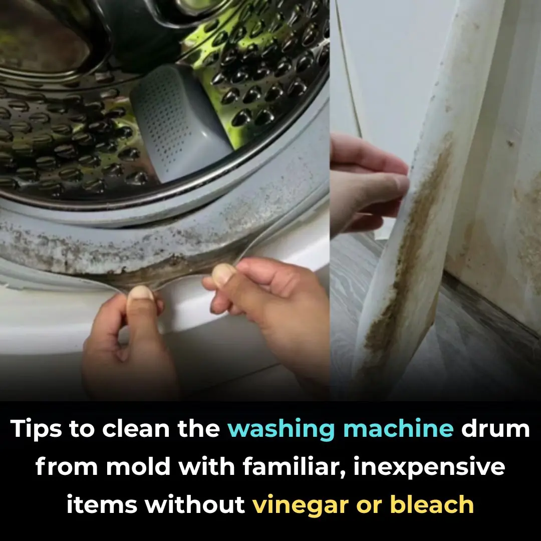 Tips to clean the washing machine drum from mold with familiar, inexpensive items without vinegar or bleach