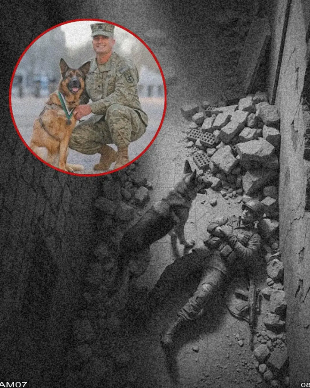 The Day Thor Proved a Dog Can Be a Soldier Too