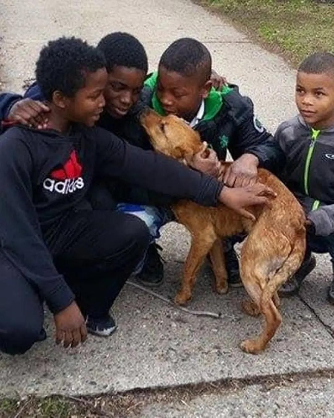 Four Boys, One Dog, Endless Courage