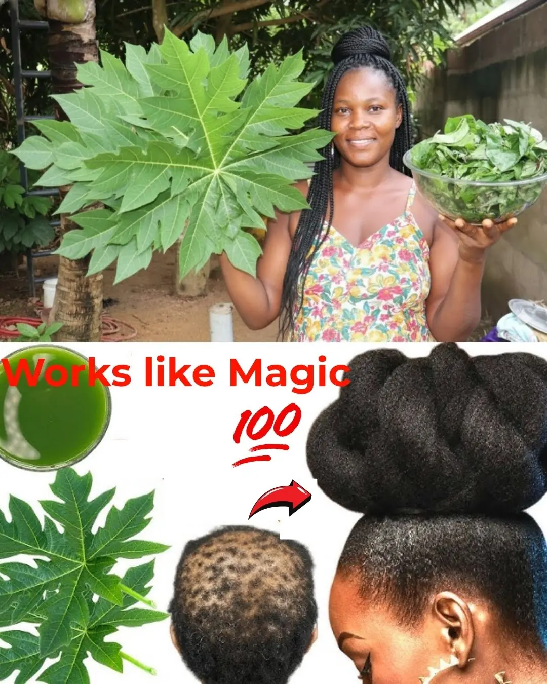 Papaya Leaves: Do Not Make This Hair Treatment if You’re Not Ready for Extreme Hair Growth