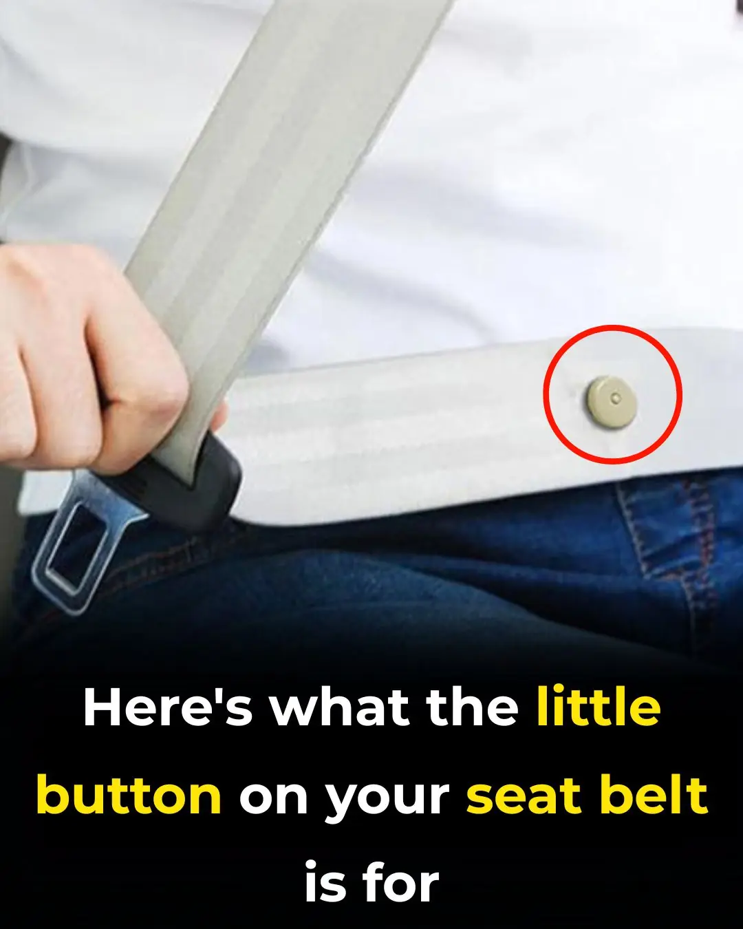 Little Button on Your Seat Belt