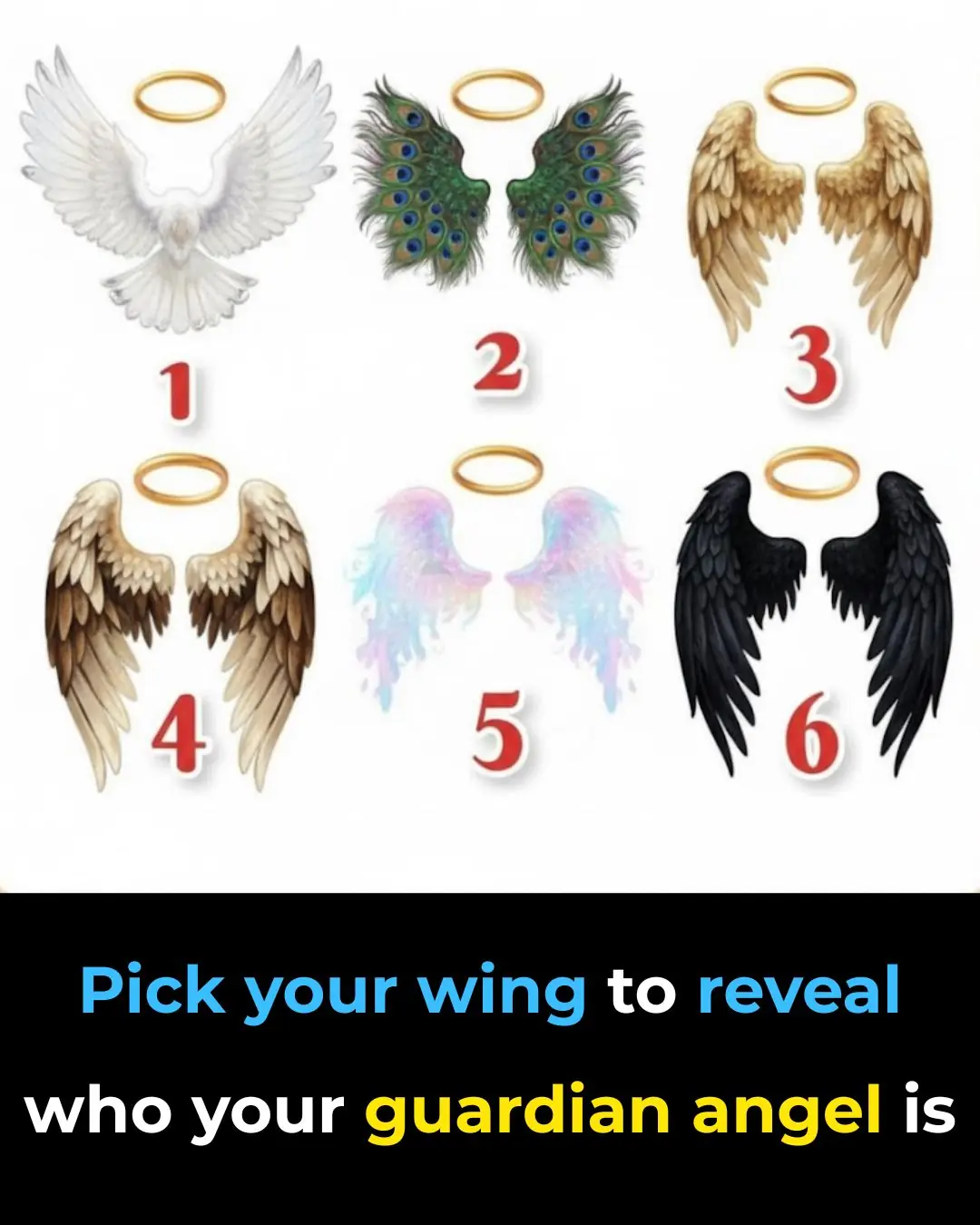 Pick your wing to reveal who your guardian angel is