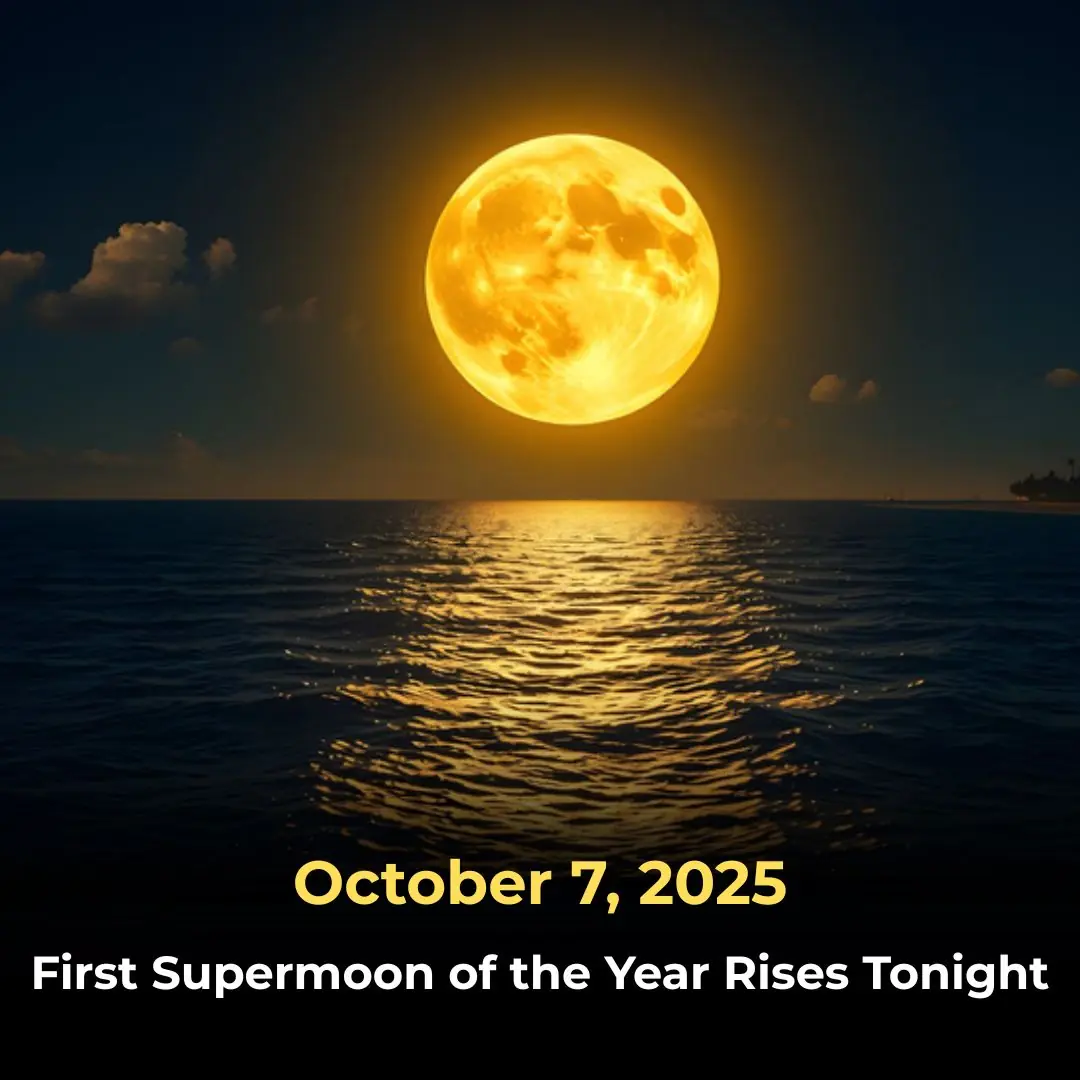 BREAKING NEWS 🚨 Due To This Hunter’s Moon Earth Will Be Completely…See More