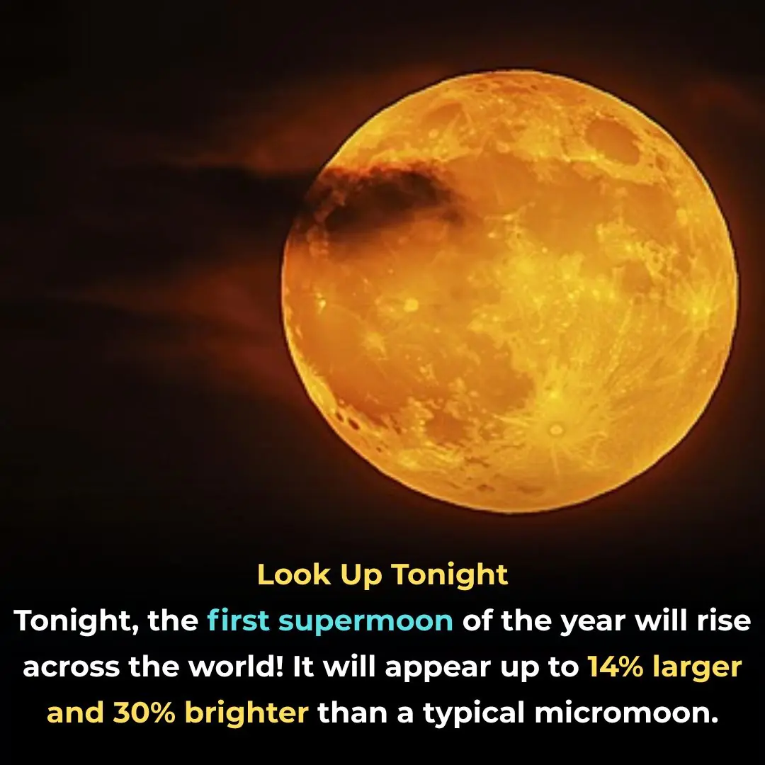 BREAKING NEWS 🚨 Due To This Hunter’s Moon Earth Will Be Completely…See More