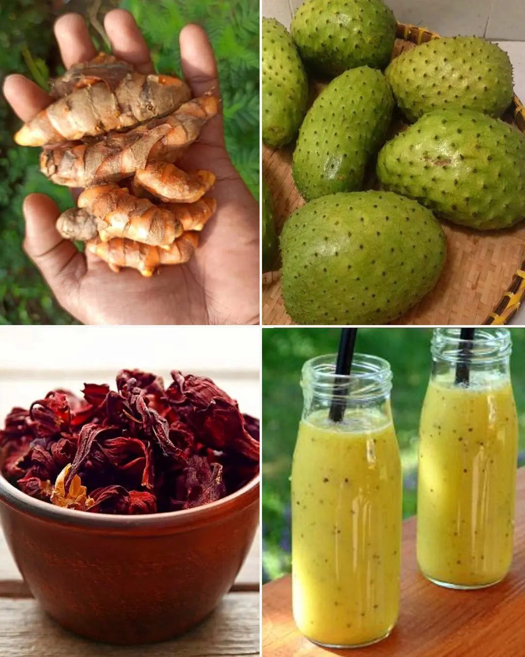 Ginger, Soursop, Sorrel, and Turmeric – The Miracle Drink
