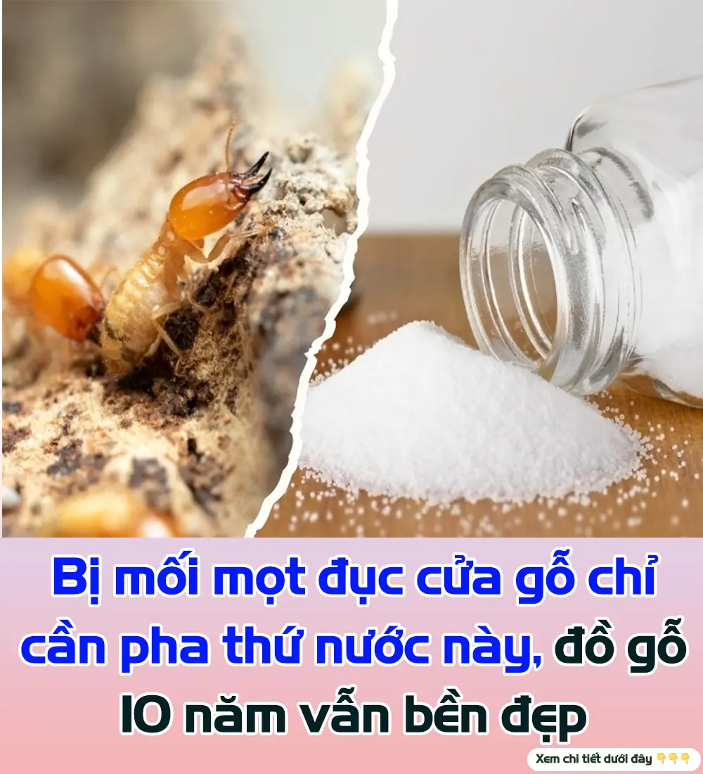 If your wooden door is infested with termites, just pour this mixture on it and your wooden furniture will still be beautiful after 10 years.