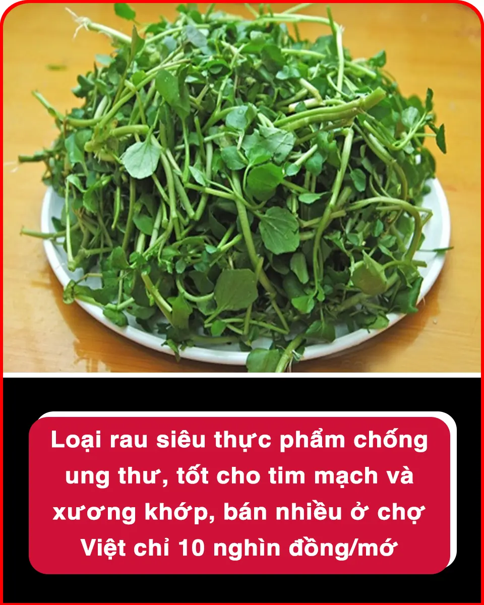 This is a very good anti-cancer food, and is affordable when sold in Vietnamese markets. 👇👇