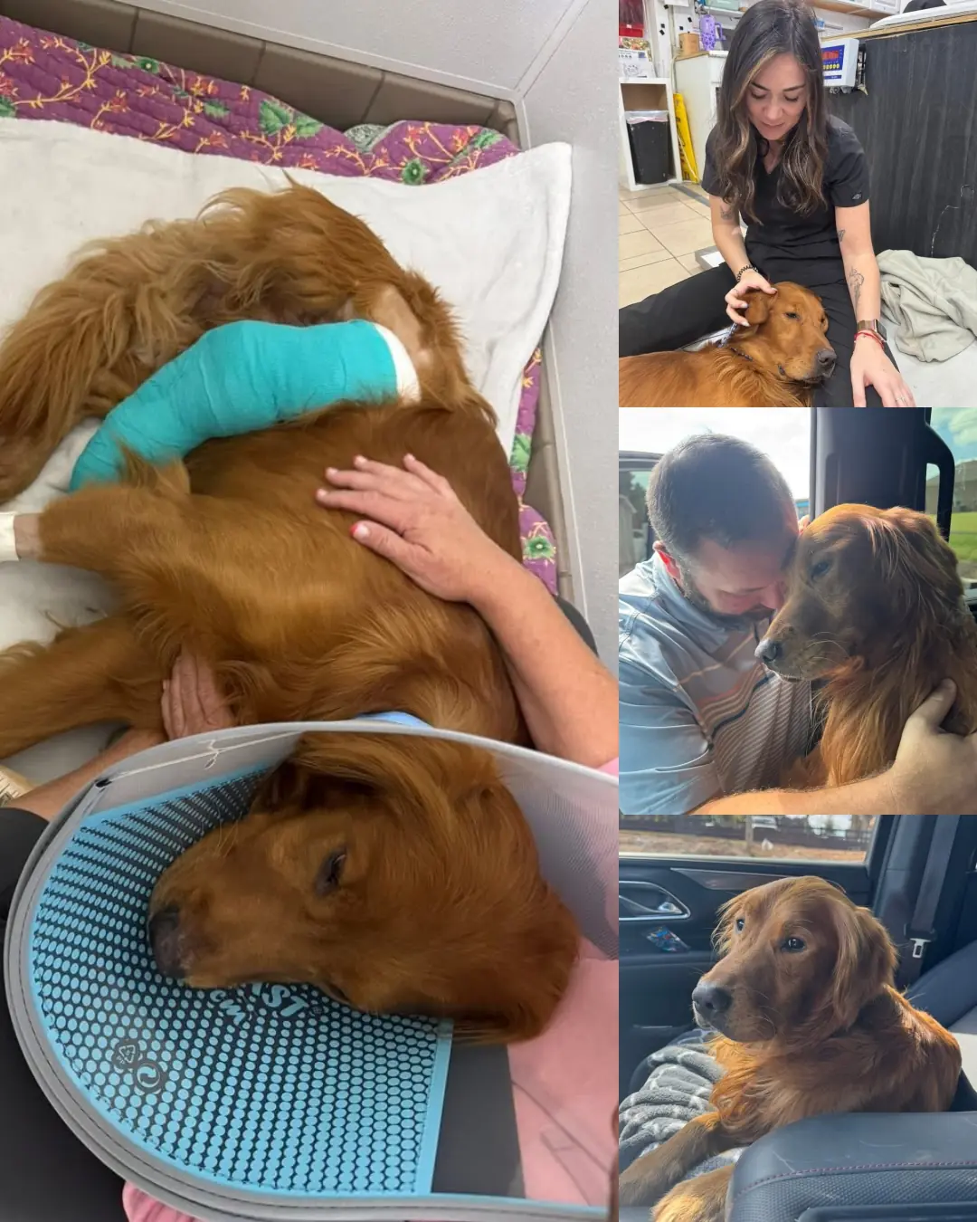 Havoc’s Journey: From Pain and Abandonment to Love and Community