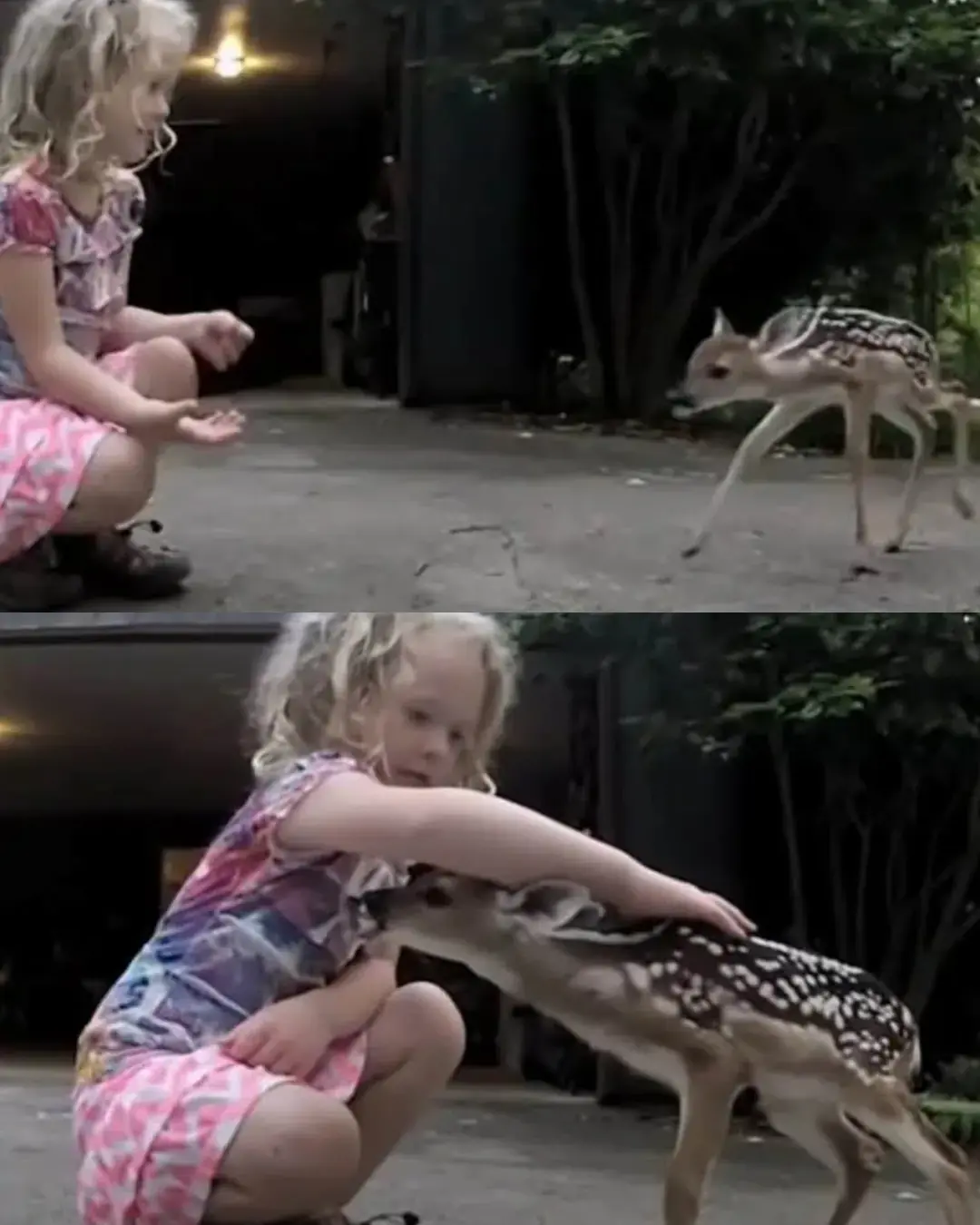 The Little Girl Who Spoke to the Wild.