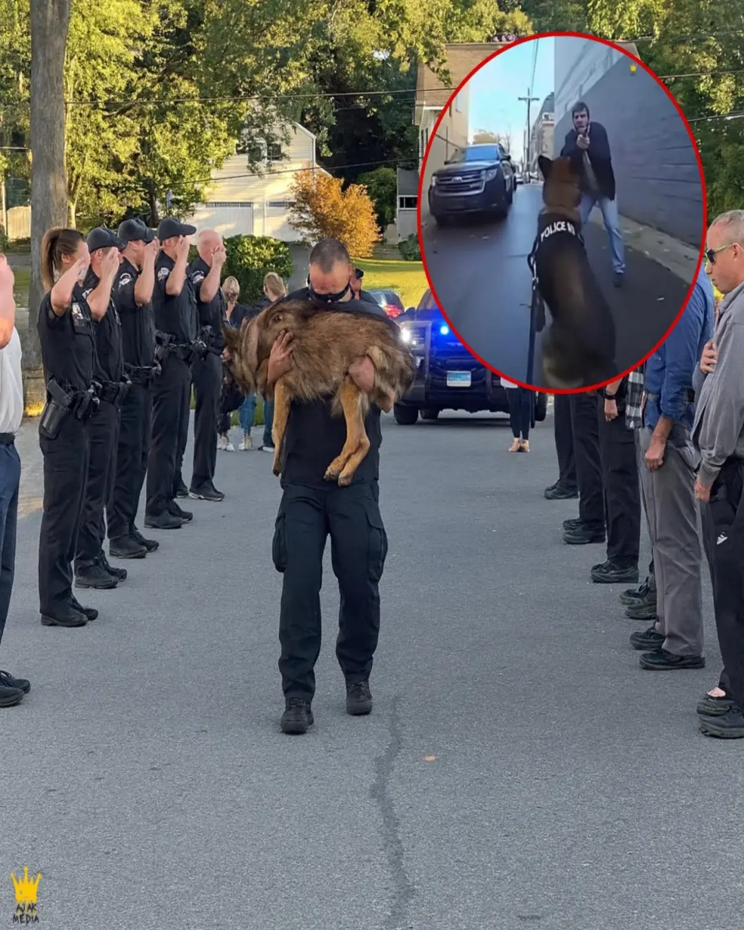 One Last Walk: The Officer Who Carried His Hero Home